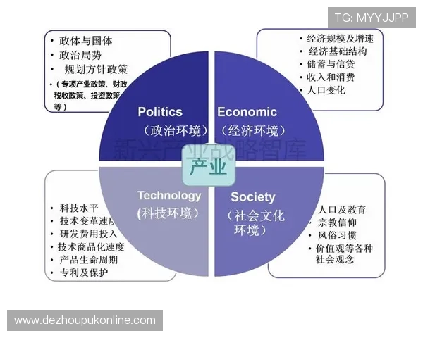 pock在线官网账号注册流程及常见问题解答分析
